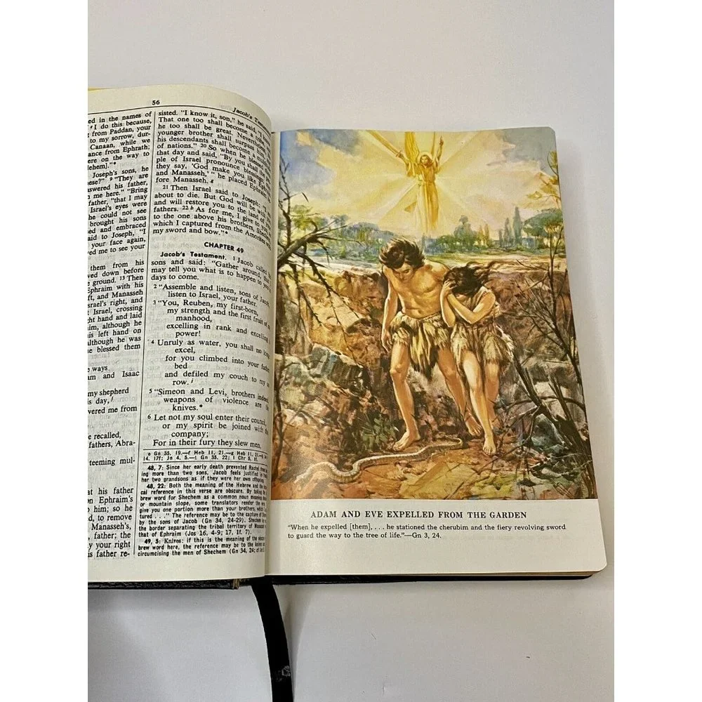 The Saint Joseph Edition The New American Bible Large Type Illustrated‎ 611/13b